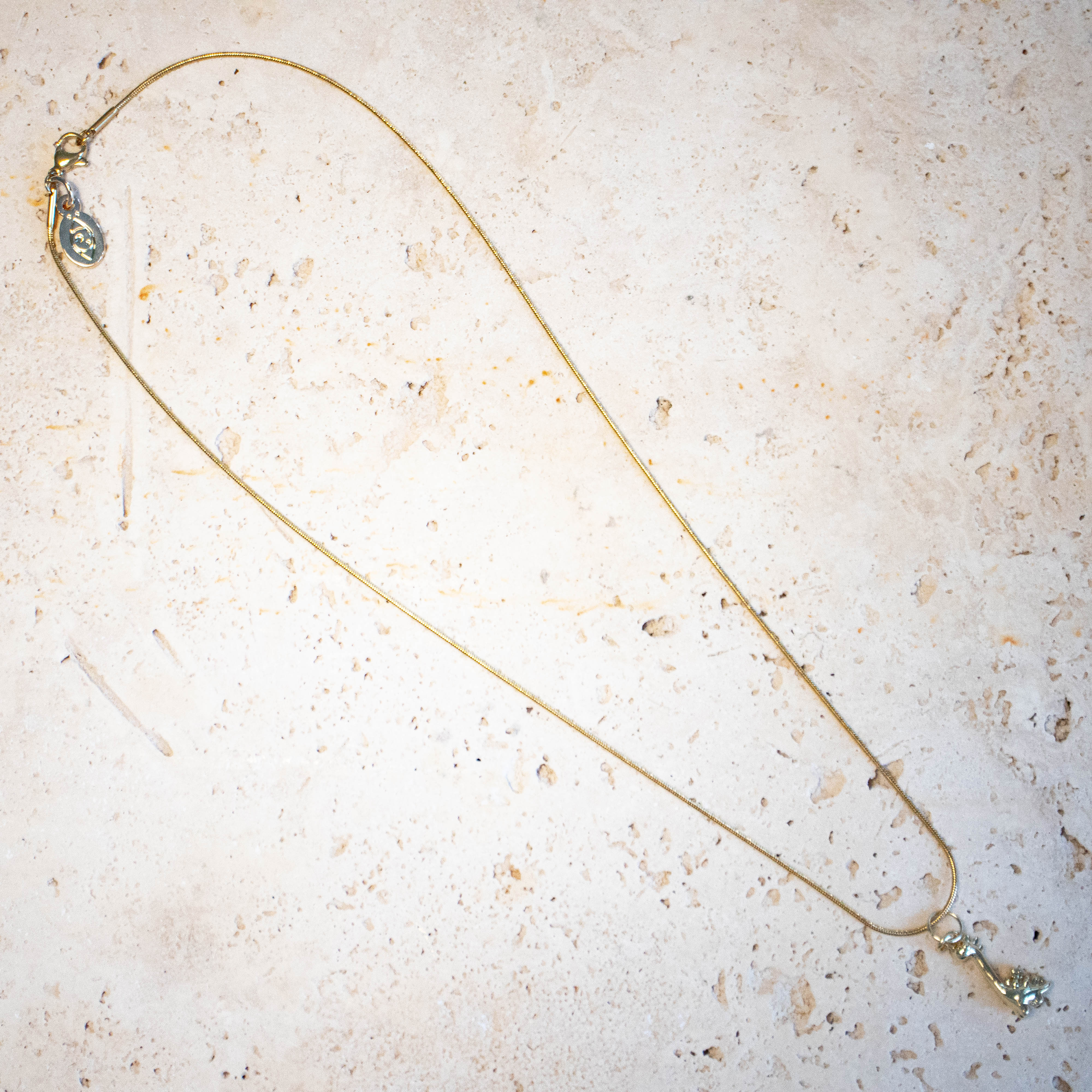 ready. Dinosaurier Kette Langhals vergoldet Edelstahl | Nooe Berlin - Nooe UG