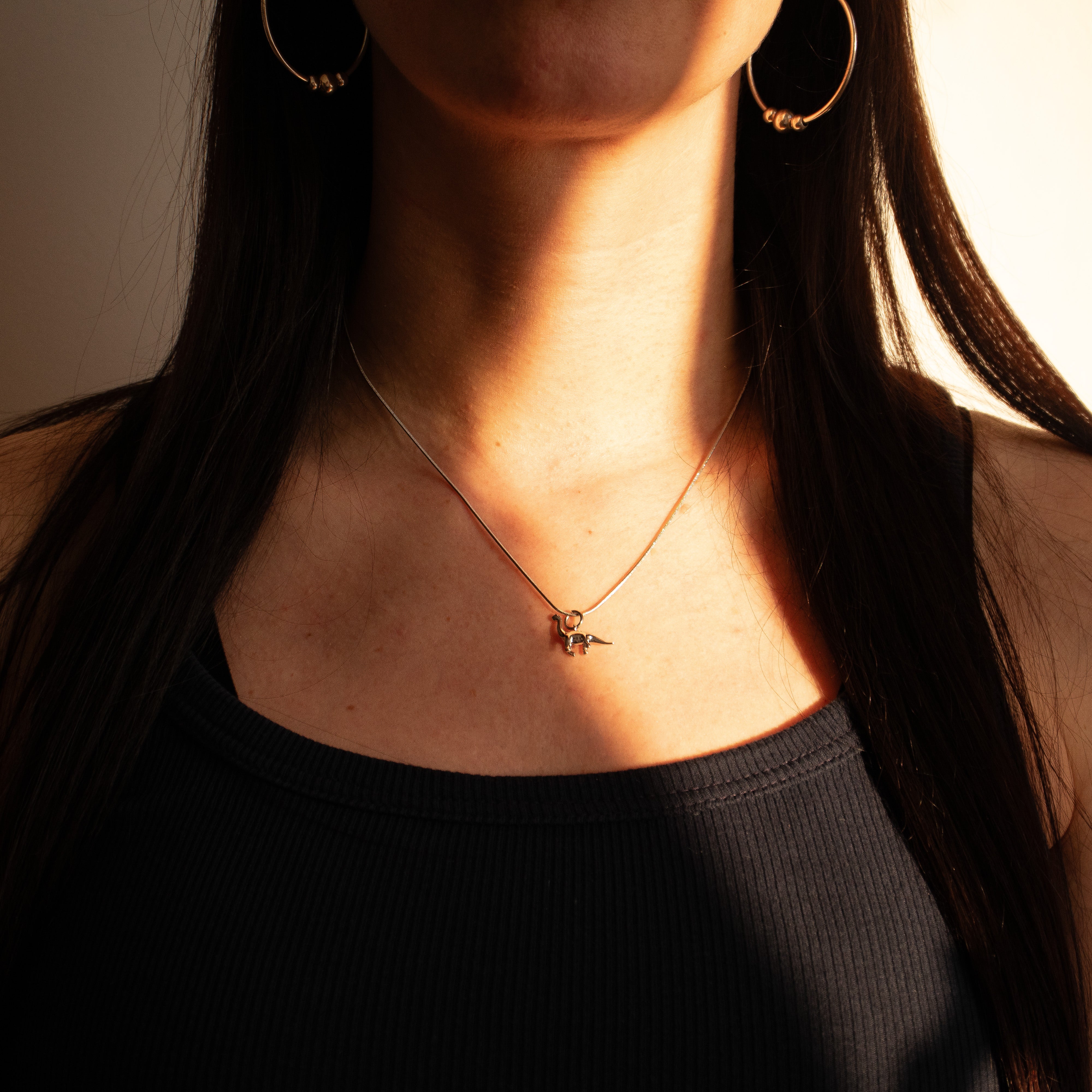 Kette Langhals Dinosaurier Edelstahl silber - Nooe UG