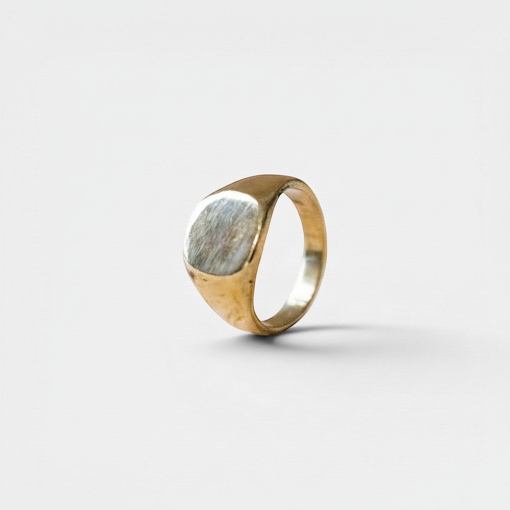 Nooe UG gold brass signet ring with a brushed silver-toned oval face. Minimalist, handmade design.