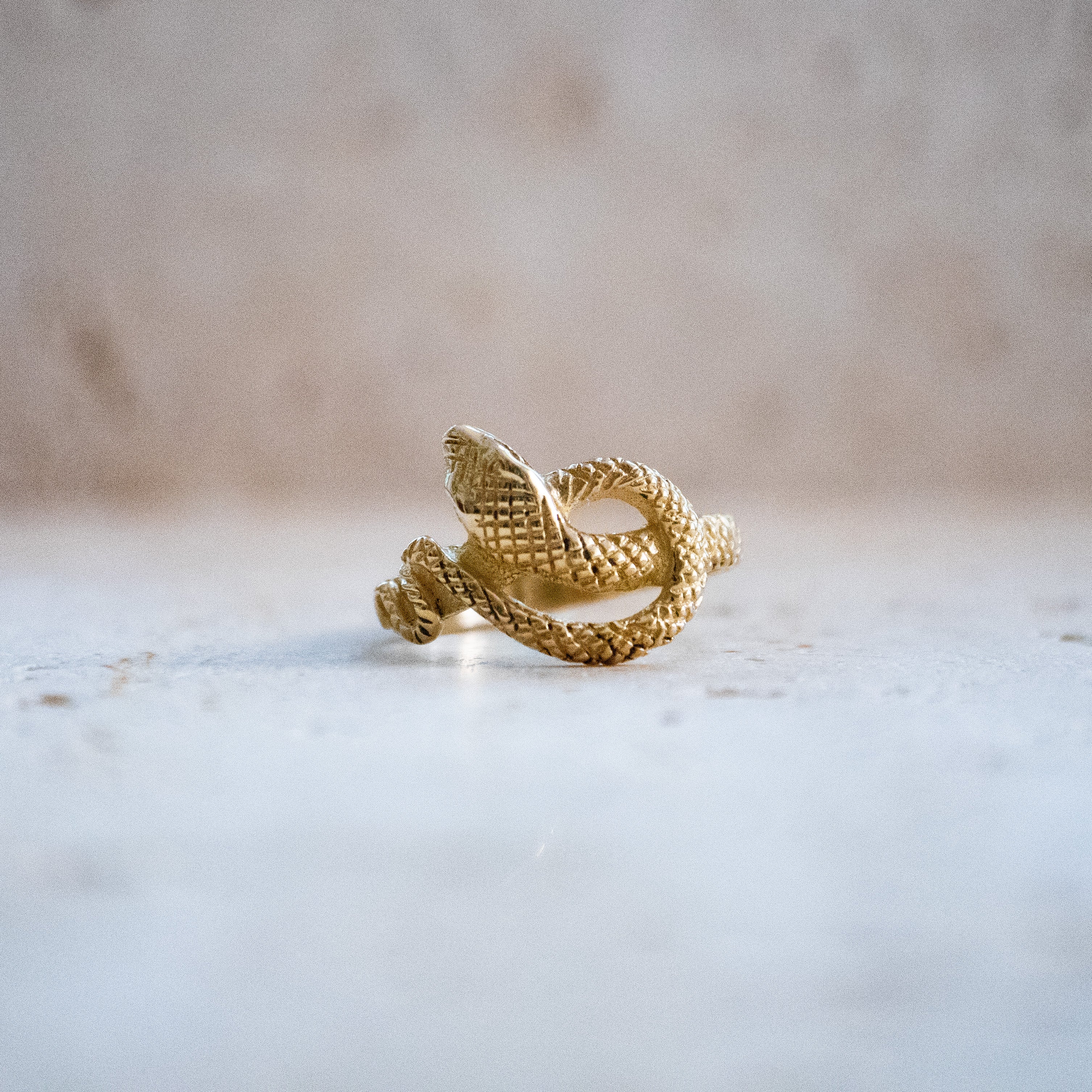 Gewundener Schlangen Ring – Handgemacht aus Messing